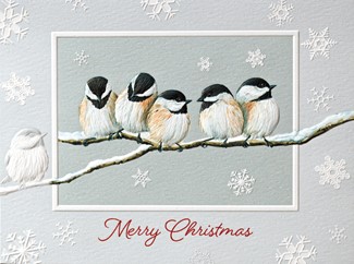 Chickadee Chorus | Photographic boxed Christmas cards