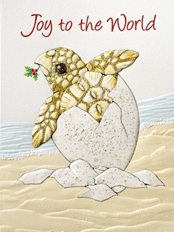 Turtle Hatchling | Coastal themed boxed Christmas cards