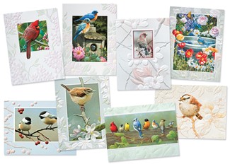 Inspirational Birds Petite Card Assortment | Everyday Assortment