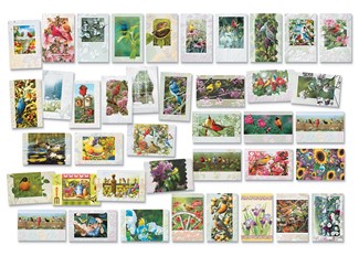 Deluxe Garden Visitors Card Assortment | Assortment Boxed Cards, Made in the USA