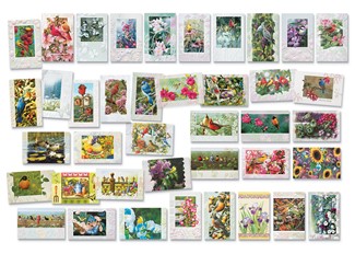 Deluxe Garden Visitors Card Assortment | Assortment Boxed Cards, Made in the USA