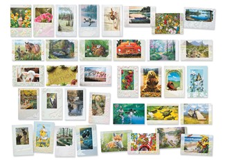 Deluxe Scenic Nature 36 Card Assortment | Assortment Boxed Cards, Made in the USA