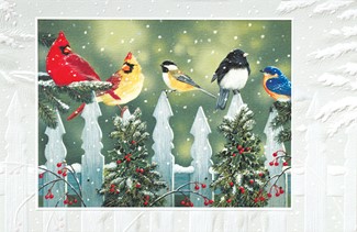 Winter Birds | Bird themed boxed Christmas cards