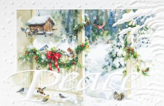 Backporch Feeder | Bird themed boxed Christmas cards