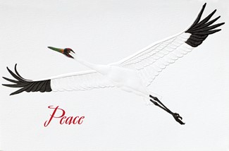 Whooping Crane | Wildlife themed boxed greeting cards