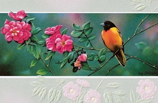 Clockwork Orange | Songbird embossed cards