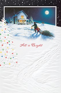 Bringing Home The Tree | Scenic themed boxed Christmas cards