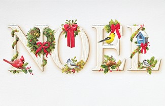 Noel | Bird themed boxed Christmas cards