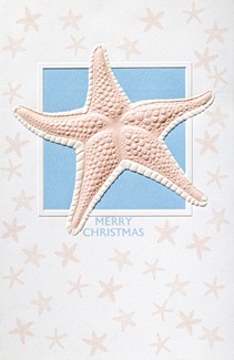 Splendid Starfish | Coastal themed Christmas cards