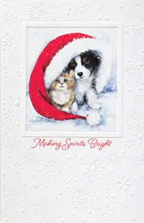 Perfect Playmates | Cat & Dog boxed Christmas cards