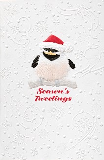 Little Bird | Bird themed boxed Christmas cards