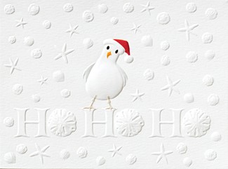 Ho Ho Ho Seagull | Coastal themed boxed Christmas cards