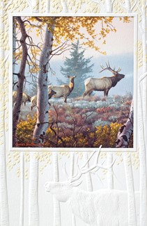 Through The Aspens Folded - W/Env | Scenic greeting cards