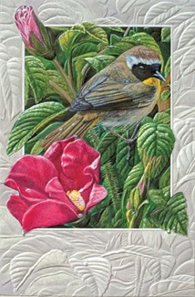 Common Yellowthroat | Blank Greeting Cards