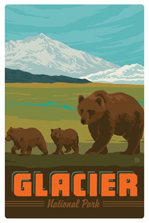 Glacier National Park Bear Family | Magnetic Postcard