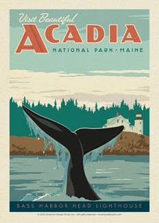 Acadia National Park Whale Tail | USA Made
