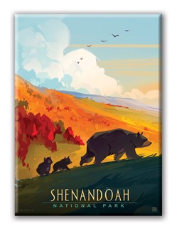 Shenandoah NP Mama Bear & Cubs Magnet | Metal Magnet