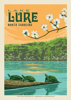 Lake Lure NC Turtles Postcard | Postcard