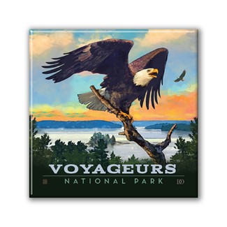 Voyageurs NP Bald Eagle Square Magnet| Metal Magnet