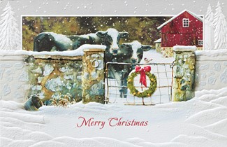 Welcoming Committee | Farm themed boxed Christmas cards