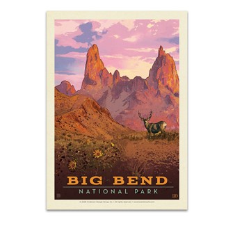 Big Bend NP Mule Deer Postcard| Postcard