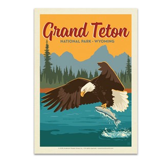 Grand Teton NP Eagle & Salmon Postcard | USA Made