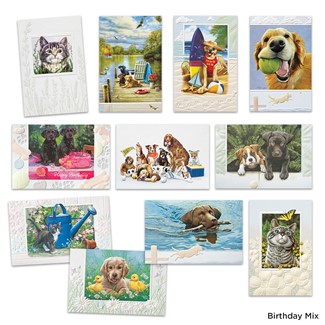 Premium Dog & Cat Assortment | Assortment Boxed Cards, Made in the USA