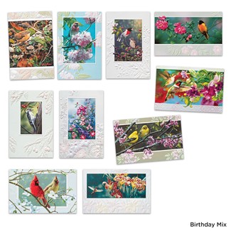 Premium Bird Lover Nature Assortment | Assortment Boxed Cards, Made in the USA