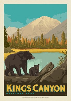 Kings Canyon NP Bears Postcard| Postcards