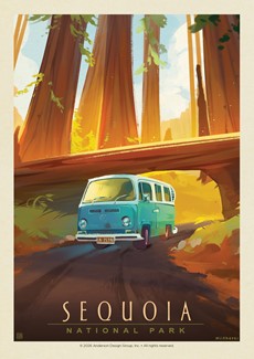 Sequoia NP Through the Trees Postcard| Postcards