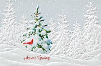 Deep Freeze| Scenic themed boxed Christmas cards