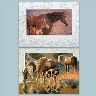 Horses | Horse boxed note cards