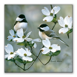 Spring Chickadees Square Magnet| American Made