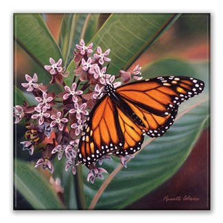 Monarch Butterfly Square Magnet| American Made