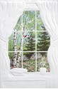 Backyard Window (GW)