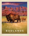 Badlands NP Bison 8" x 10" Print