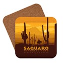 Saguaro Coaster