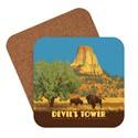 Devil's Tower, WY Coaster