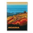 Acadia NP Cadillac Mountain Magnet