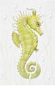 Seahorse Folded - W/Env