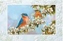 Bluebird Couple (AWIN) Folded - W/Env