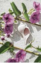 Dune Flowers & Shell (SY) Folded - W/Env
