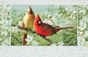 Cardinals In Orchard (WD) Folded - W/Env