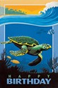 Deep Dive Sea Turtle Folded - W/Env