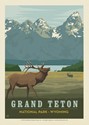 Grand Teton Bugling Elk (Single)