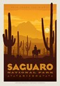 Saguaro (Single)