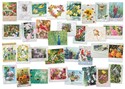 Petite Bird & Backyard Card Assortment - Box of 32