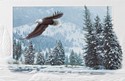Free Flight