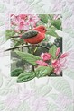 Scarlet Tanager Folded - W/Env