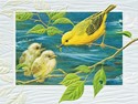 Yellow Warbler (EN) Petite Folded - W/Env